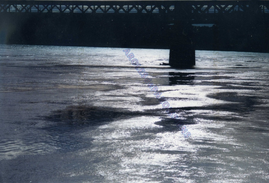 Le canal de Jonage.